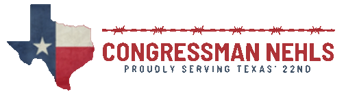 Representative Troy Nehls logo
